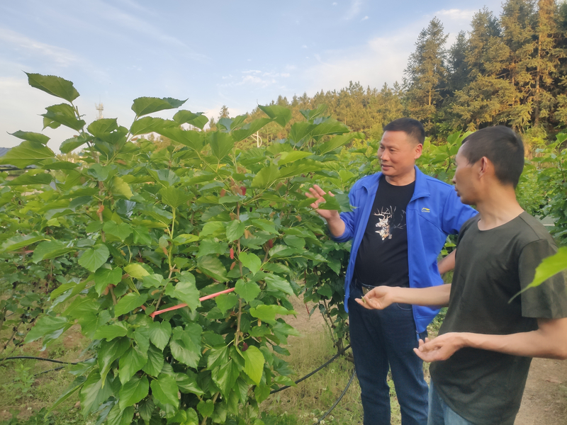 1652060932866078340.jpg 微信图片_20220509094844.jpg