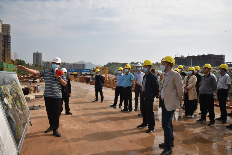 1652063962535077938.jpg DSC_2135.jpg